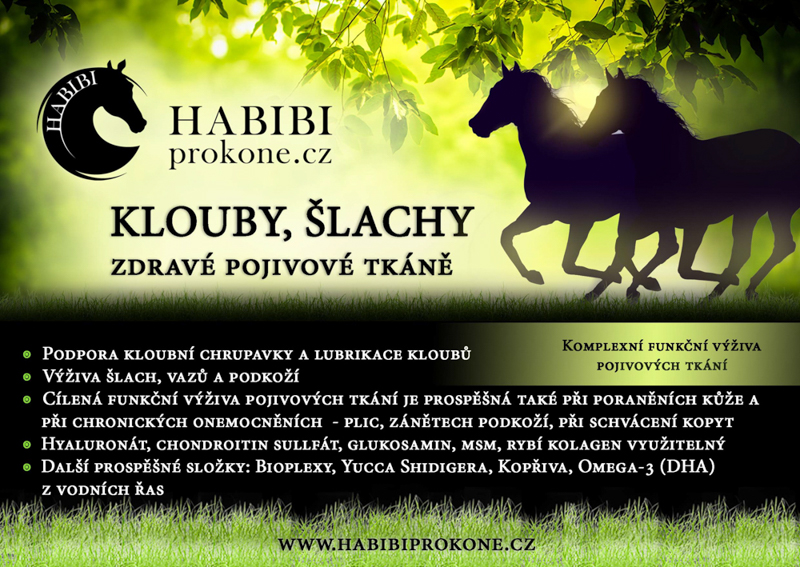 HABIBI - KLOUBY, ŠLACHY,ZDRAVÉ POJIVOVÉ TKÁNĚ 2 kg 